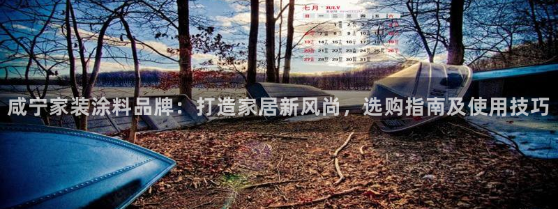 和记官网 公司：咸宁家装涂料品牌：打造家居新风尚，选购指南及使用技巧