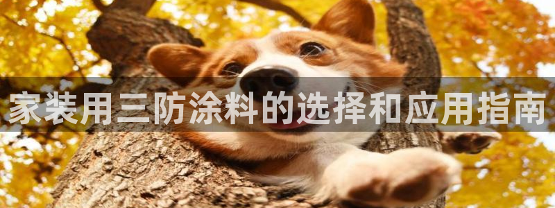和记Ag：家装用三防涂料的选择和应用指南