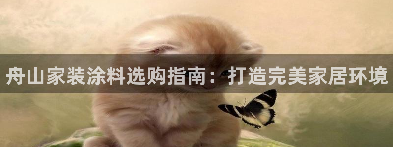 和记5g电讯：舟山家装涂料选购指南：打造完美家居环境