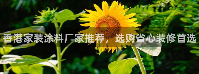 和记国际电讯市值