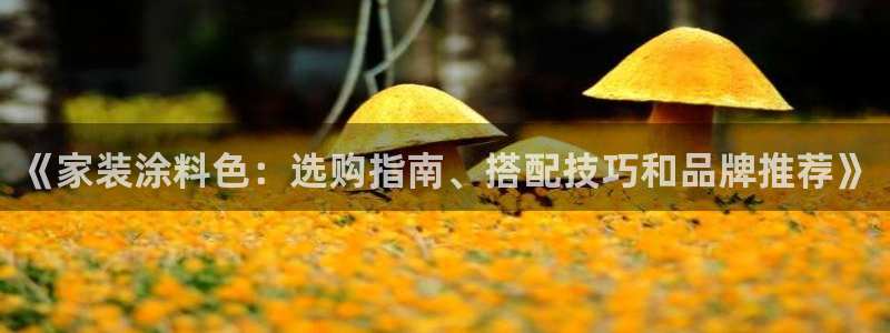 和记官网 公司：《家装涂料色：选购指南、搭配技巧和品牌推荐》